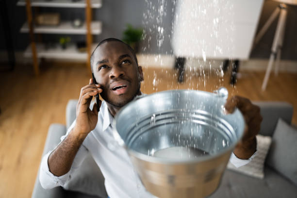 Best Basement water damage restoration  in Great Falls, MT