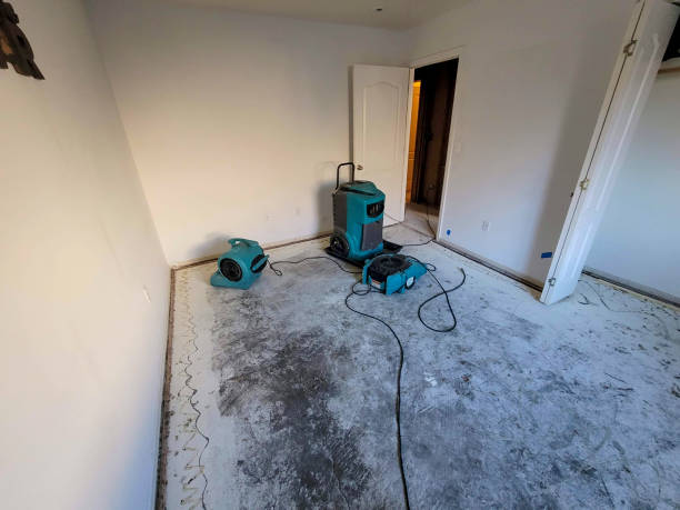 Best Water damage restoration near me  in Great Falls, MT