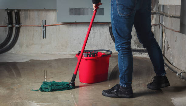 Best Water damage restoration near me  in Great Falls, MT