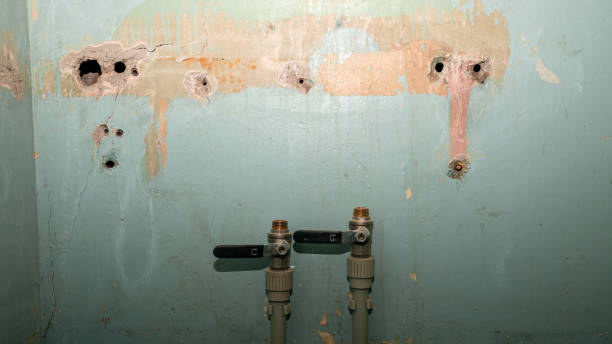 Best Water damage restoration cost  in Great Falls, MT