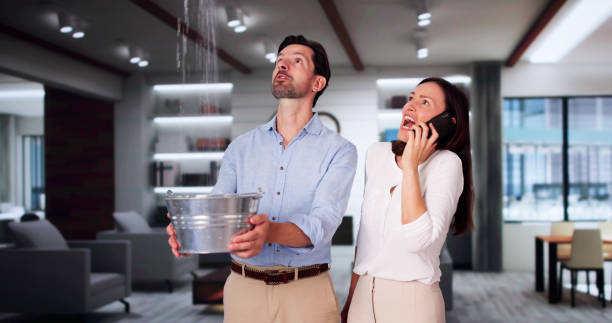 Best Flood damage cleanup  in Great Falls, MT